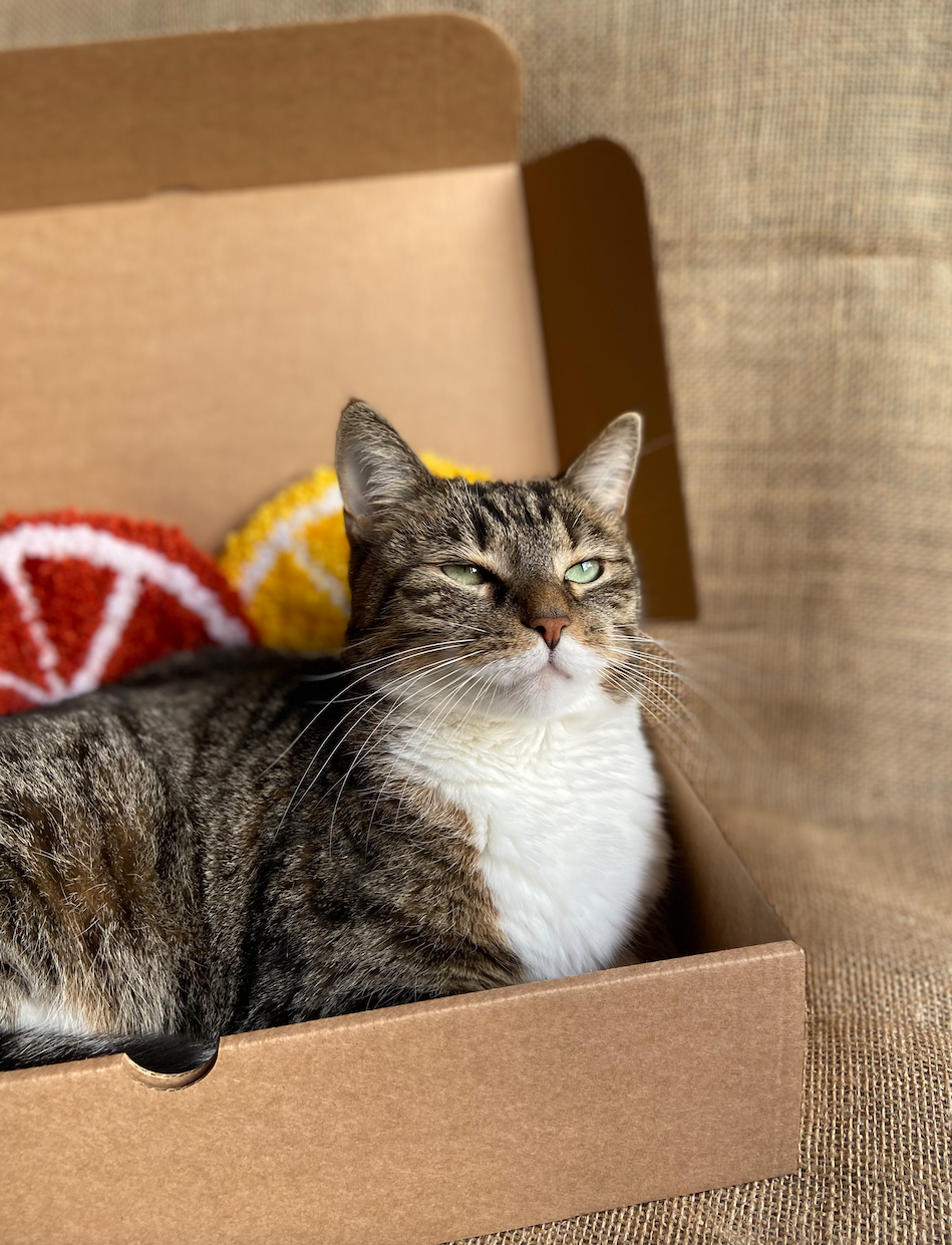 Photo of Nora, the studio's supervisor and the inspiration behind the name "Azanora."